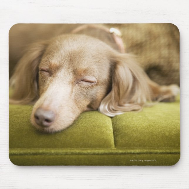 Dachshund Mouse Mat (Front)
