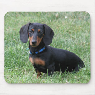 Dachshund Mouse Mat