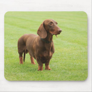 Dachshund Mouse Mat