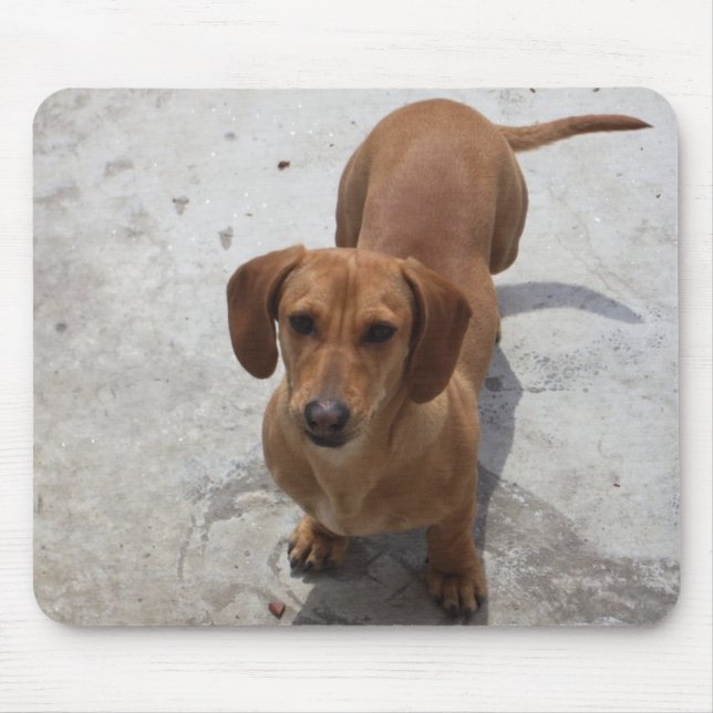 Dachshund Mouse Mat (Front)