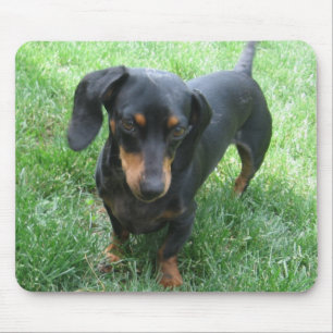 Dachshund Mouse Mat