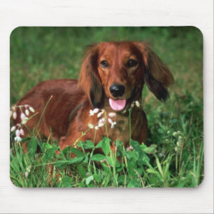 Dachshund Mouse Mat