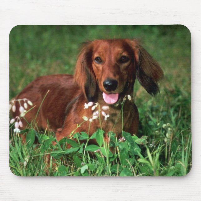 Dachshund Mouse Mat (Front)