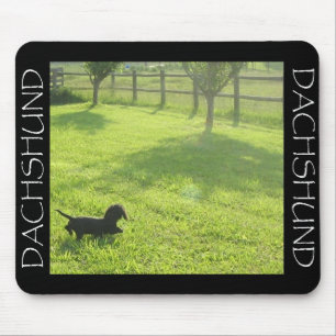 Dachshund Mousepad