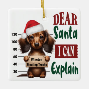 Dachshund Mug Shot: Dear Santa I Can Explain Ceramic Ornament
