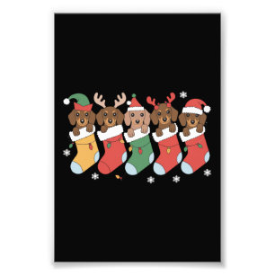 Dachshund Mum Christmas Dog Lover Gift New Year Photo Print