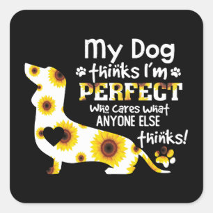 Dachshund My Dog Thinks I'm Perfect Funny Saying Square Sticker