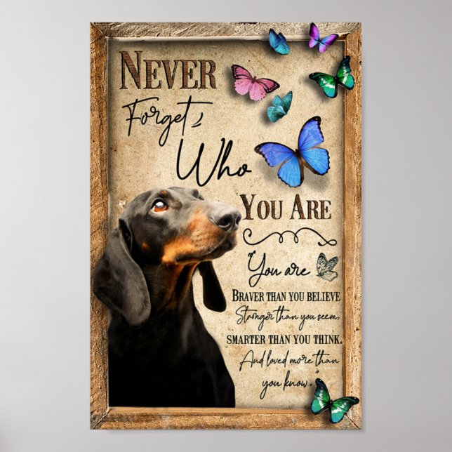 Dachshund Never Forget Who You Are Poster (Front)