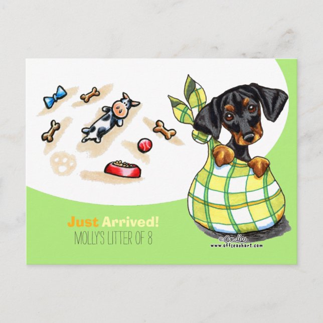 Dachshund New Puppy Social Postcard (Front)