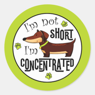 Dachshund Not Short I'm Concentrated Classic Round Sticker