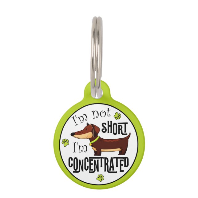 Dachshund Not Short I'm Concentrated  Pet Tag (Front)