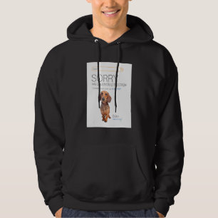 Dachshund  Online Shop Ecommerce Seller 404 Dog Pa Hoodie