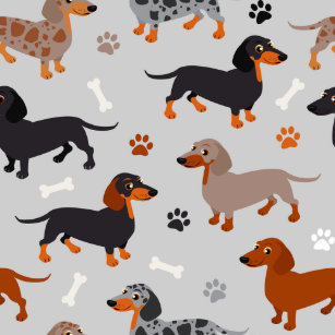 Dachshund Face Gifts Gift Ideas Zazzle Uk