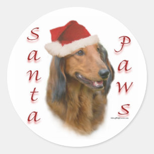 Dachshund Paws - Longhair Classic Round Sticker