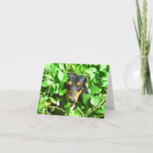 Dachshund Peeking Through Leaves Custom Note Card