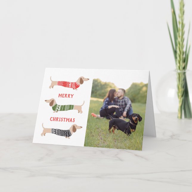 Dachshund Pet Dog  Funny Photo Christmas Card  (Front)