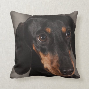 Dachshund Pet Dog Throw Pillow Home Decor