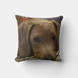 Dachshund Pet Dog Throw Pillow Home Decor