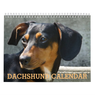 Dachshund Photo Calendar
