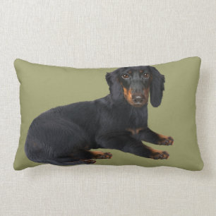 Dachshund Pillows