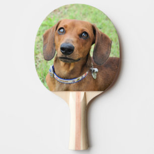 Dachshund Ping Pong Paddle