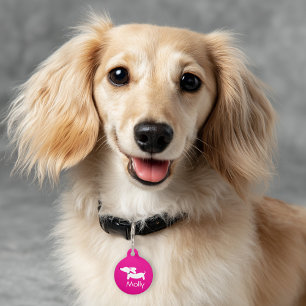 Dachshund Pink Charm Personalised Name Contact Pet Tag