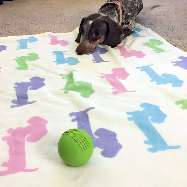 Dachshund Pink Purple Blue Green Pastels Blanket  (Pastel wiener dogs - pink purple and light blue - snuggly blanket for your doxie or you.)