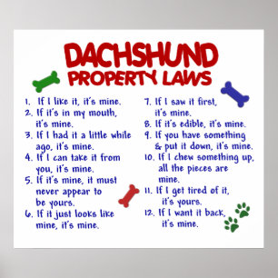 DACHSHUND PL2 POSTER