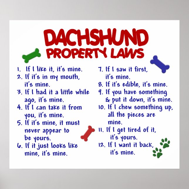 DACHSHUND PL2 POSTER (Front)