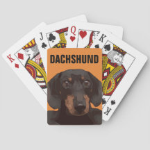 DACHSHUND