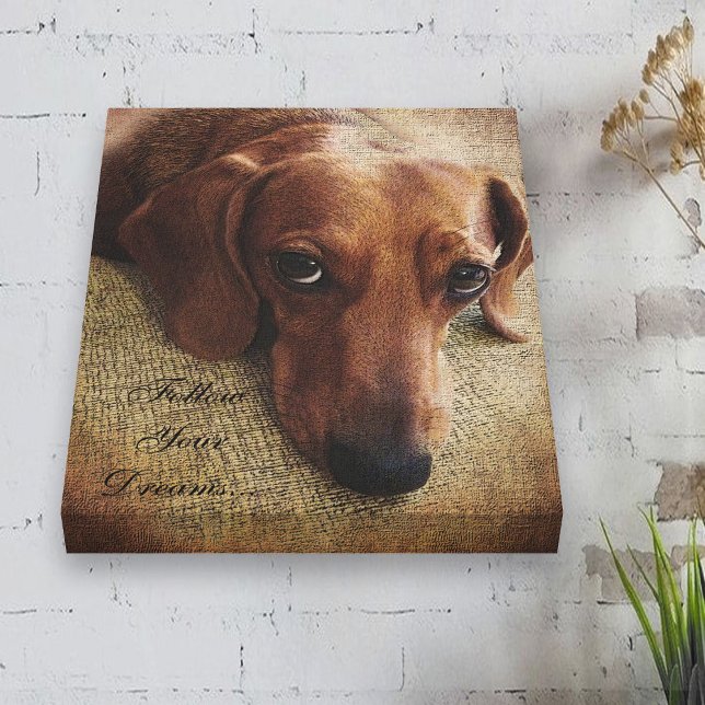 Dachshund Portrait Canvas Wrap Print (Creator Uploaded)