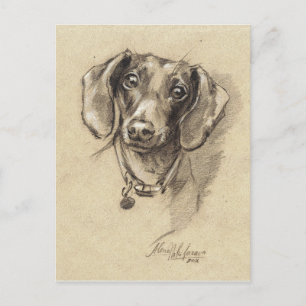 Dachshund portrait postcard