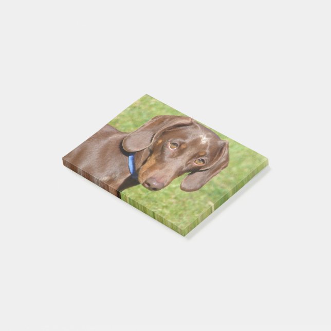 Dachshund Post-it Notes (Angled)