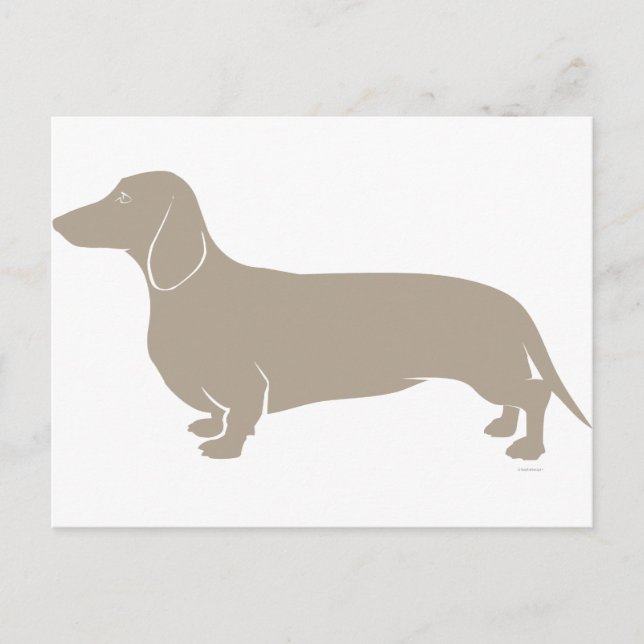 Dachshund Postcard (Front)