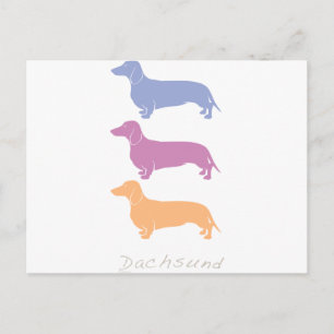 Dachshund Postcard