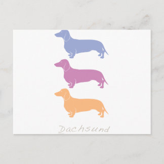 Dachshund Postcard
