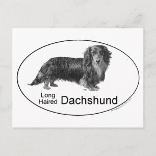 Dachshund Postcard