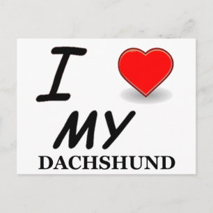 dachshund postcard