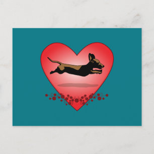 Dachshund Postcard