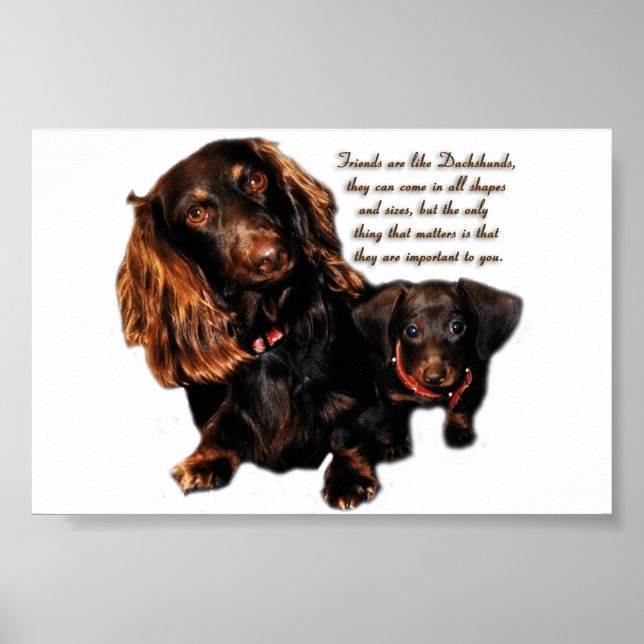 Dachshund Poster (Front)