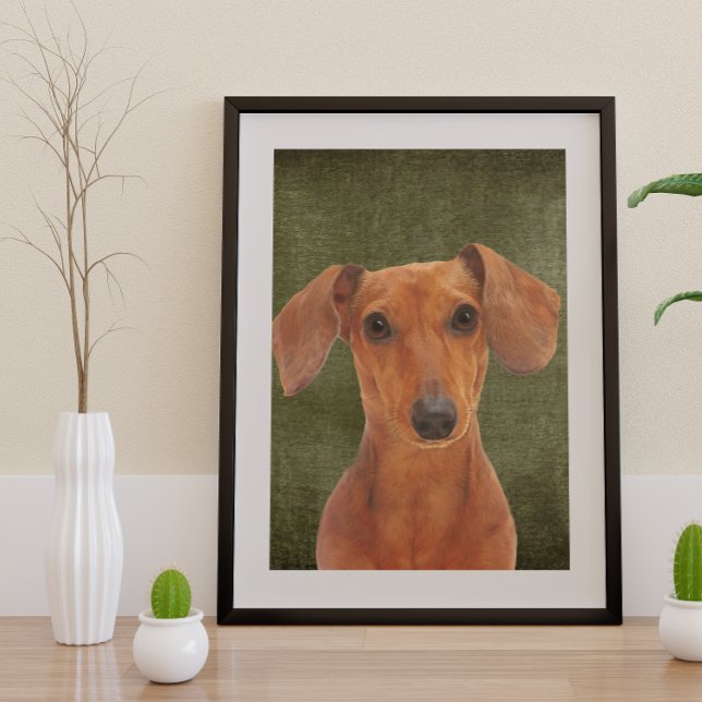 Dachshund Poster (Creator Uploaded)