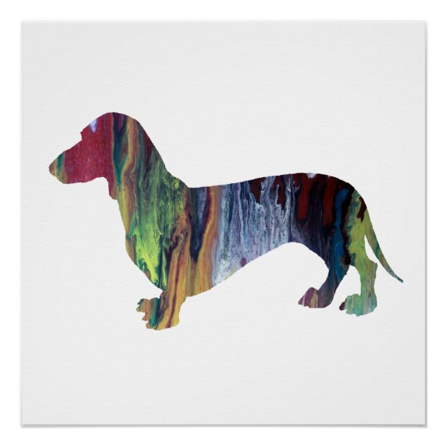 dachshund poster (Front)