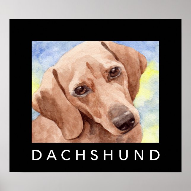 Dachshund Poster (Front)