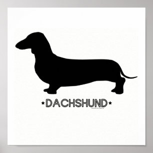Dachshund Print