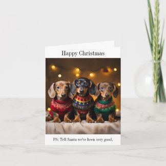 Dachshund Puppies Christmas Card