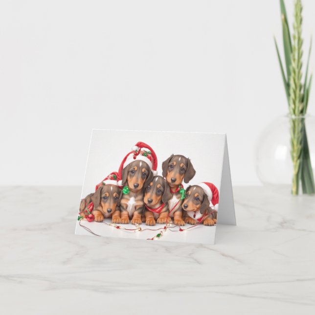 Dachshund Puppies Christmas Card (Front)