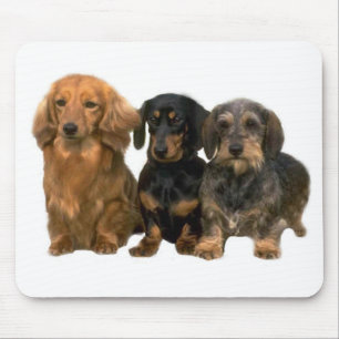 Dachshund Puppies Mousepad