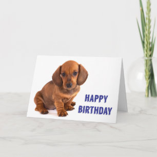Dachshund Puppy Birthday Card