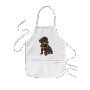 Dachshund Puppy Children's Apron