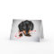 Dachshund puppy Christmas card